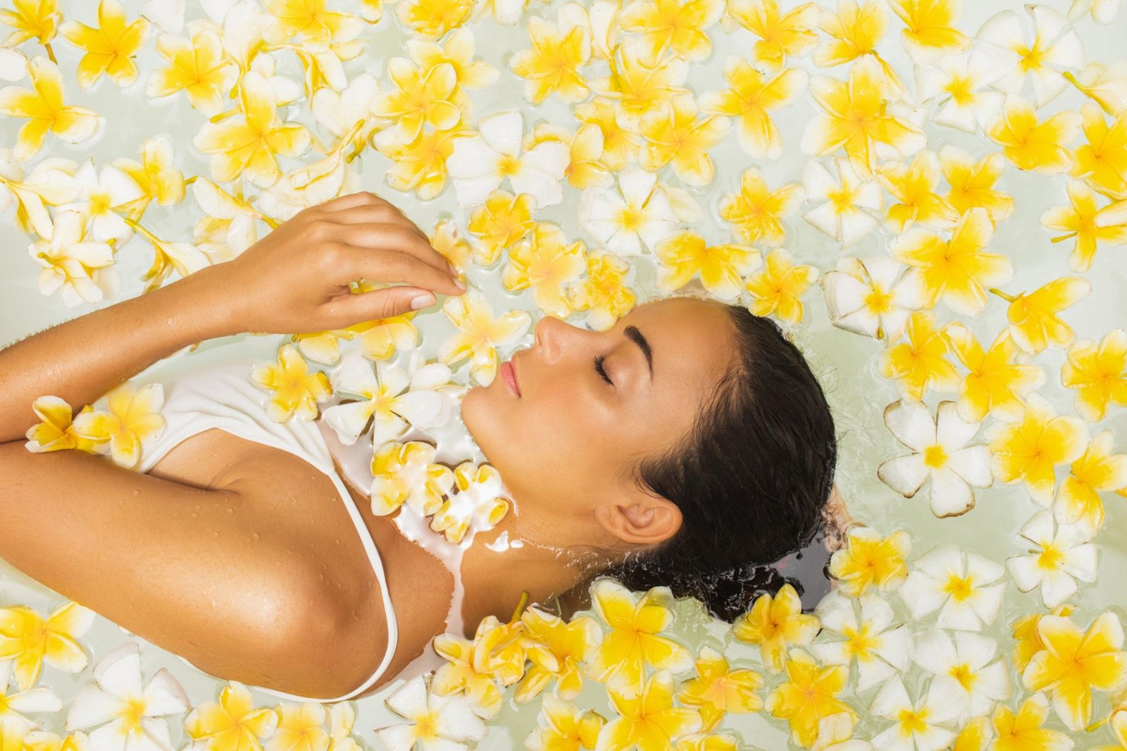 Flower Therapy Gallery